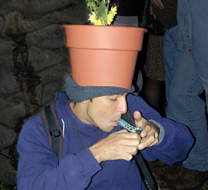 pothead-300x274