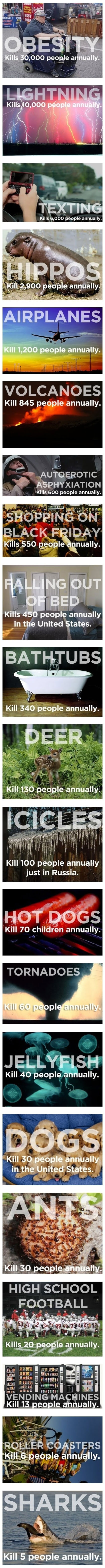 funny-sharks-things-that-kill-more