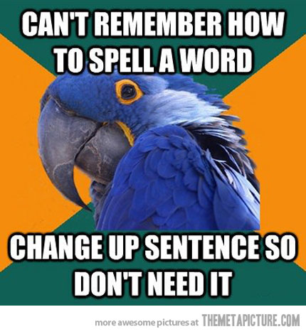 funny-paranoid-parrot-meme-spelling