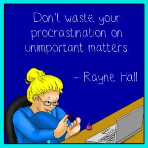 Rayne-Hall-Writing-Meme-Dont-Waste-300x300