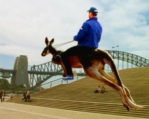 riding-kangaroo