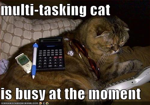 multitasking-cat